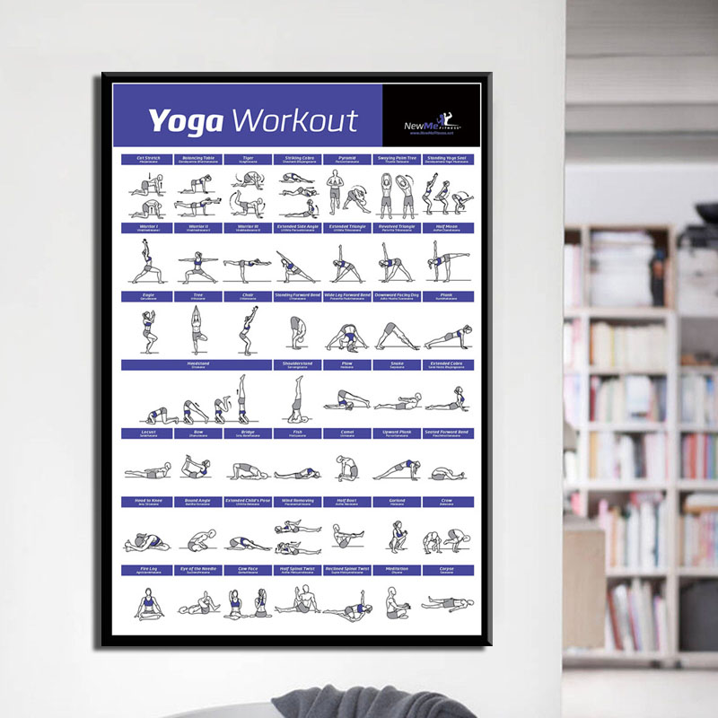 Plan treningu ciała, ćwiczenia – Home Gym York recenzja i cena