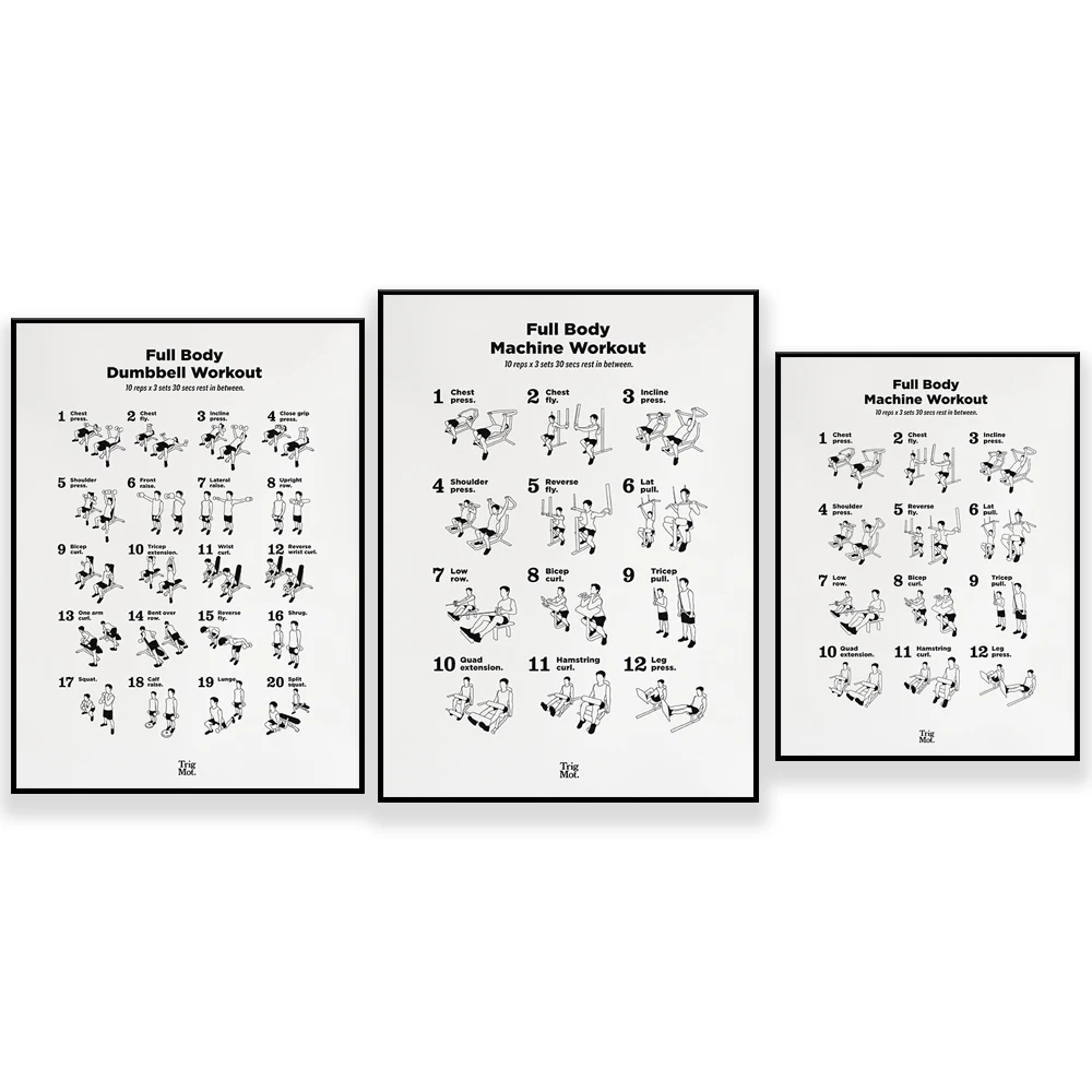 Plakat z ćwiczeniami z hantlam – Home Gym York recenzja i cena